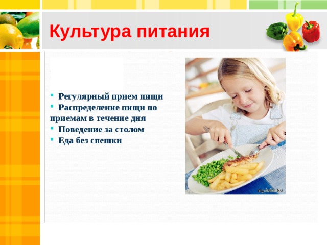 Культура питания 