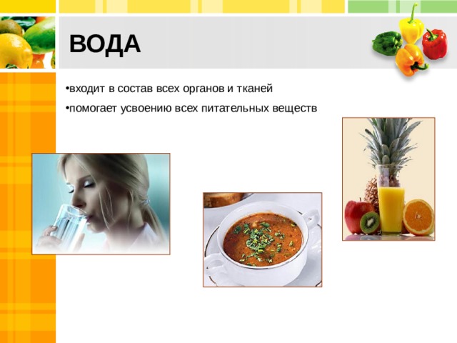  ВОДА   входит в состав всех органов и тканей помогает усвоению всех питательных веществ 2 