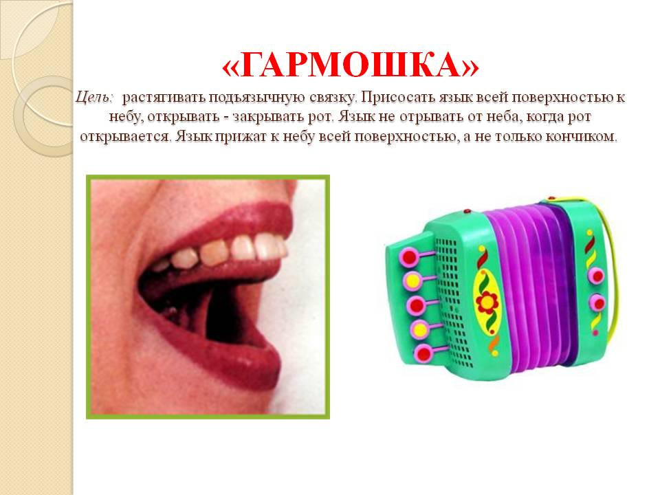 Язык гармошкой картинки