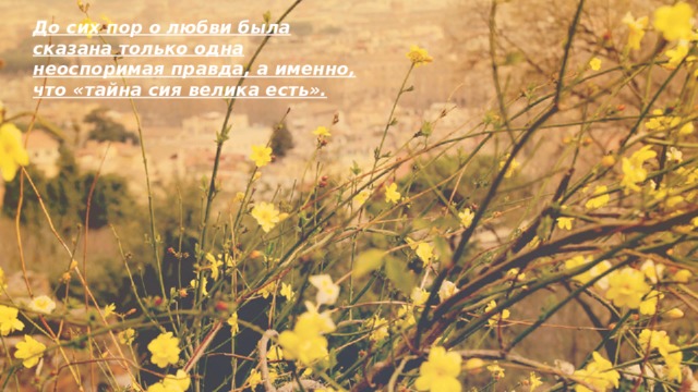 До сих пор о любви была сказана только одна неоспоримая правда, а именно, что «тайна сия велика есть». 