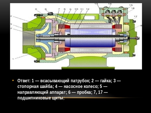 Ответ: 1 — всасывающий патрубок; 2 — гайка; 3 — стопорная шайба; 4 — насосное колесо; 5 — направляющий аппарат; 6 — пробка; 7, 17 — подшипниковые щиты ; 