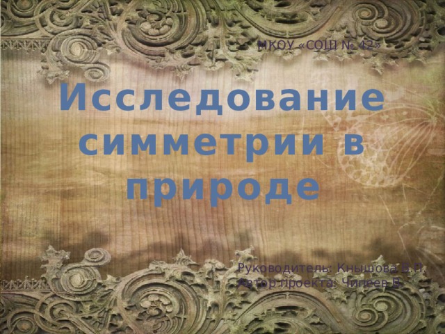 МКОУ «СОШ № 42» Исследование симметрии в природе Руководитель: Кнышова В.П. Автор проекта: Чипеев В. 