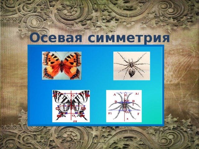 Осевая симметрия 