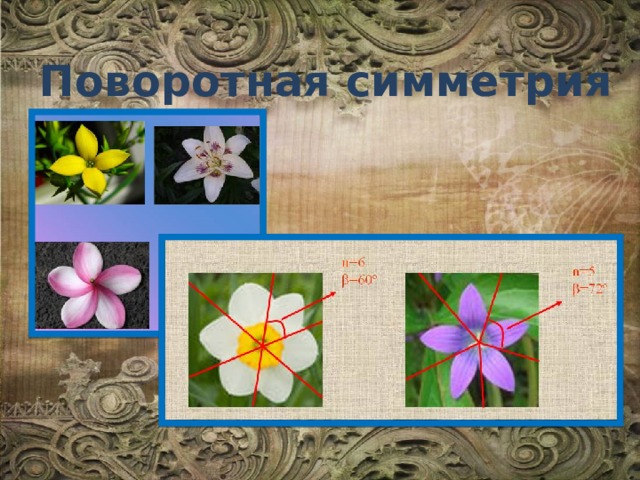 Поворотная симметрия 