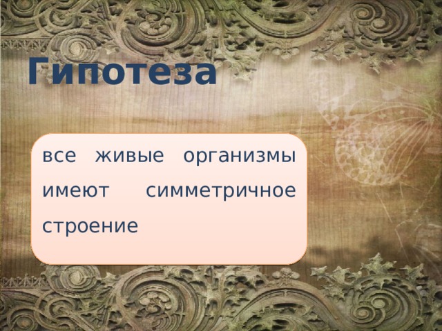 Гипотеза все живые организмы имеют симметричное строение 