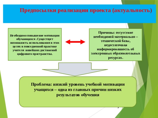 Предпосылки реализации проекта