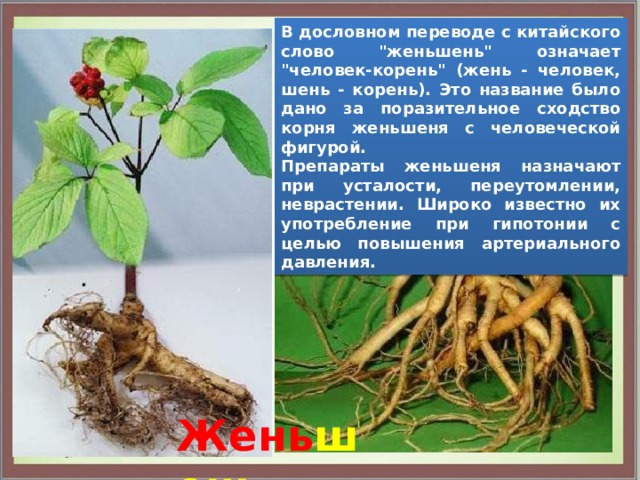 В дословном переводе с китайского слово 