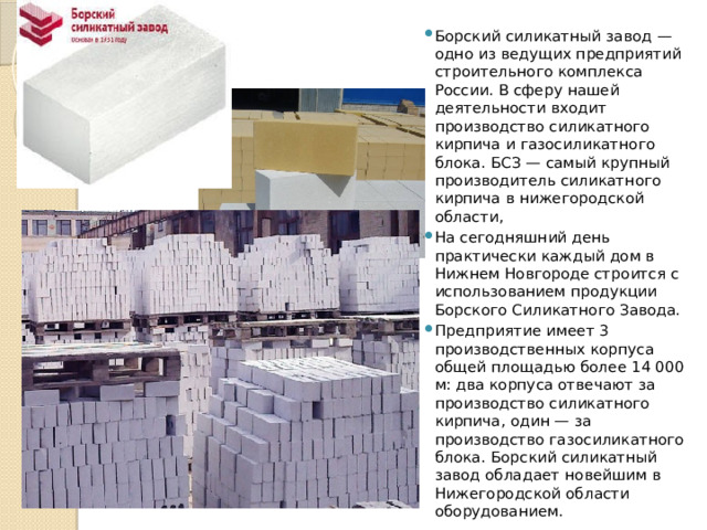 Борский силикатный завод — одно из ведущих предприятий строительного комплекса России. В сферу нашей деятельности входит производство силикатного кирпича и газосиликатного блока. БСЗ — самый крупный производитель силикатного кирпича в нижегородской области, На сегодняшний день практически каждый дом в Нижнем Новгороде строится с использованием продукции Борского Силикатного Завода. Предприятие имеет 3 производственных корпуса общей площадью более 14 000 м: два корпуса отвечают за производство силикатного кирпича, один — за производство газосиликатного блока. Борский силикатный завод обладает новейшим в Нижегородской области оборудованием. 