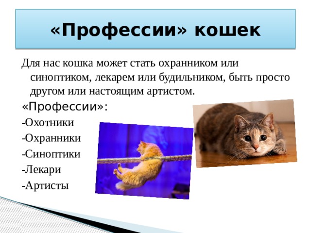 Роль кошек