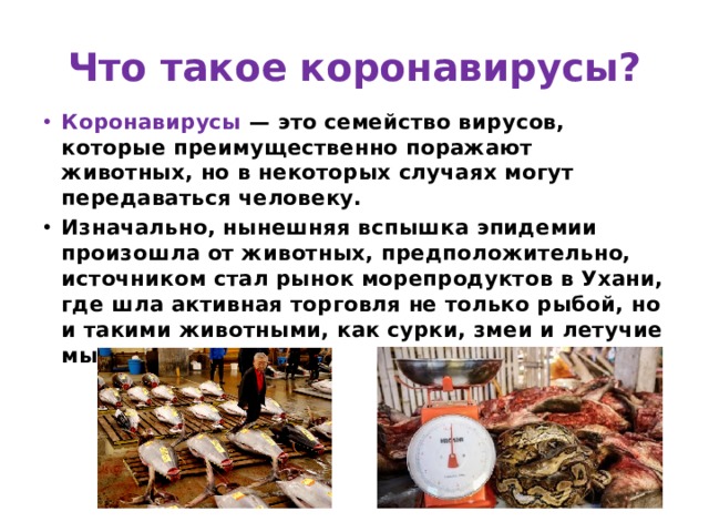 Что такое коронавирусы? Коронавирусы — это семейство вирусов, которые преимущественно поражают животных, но в некоторых случаях могут передаваться человеку. Изначально, нынешняя вспышка эпидемии произошла от животных, предположительно, источником стал рынок морепродуктов в Ухани, где шла активная торговля не только рыбой, но и такими животными, как сурки, змеи и летучие мыши. 