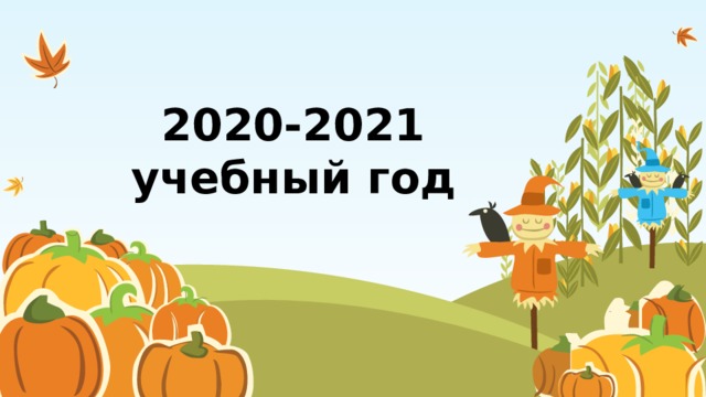 2020-2021 учебный год 