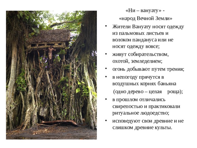 «Ни – вануату» -  «народ Вечной Земли» Жители Вануату носят одежду из пальмовых листьев и волокон пандануса или не носят одежду вовсе; живут собирательством, охотой, земледелием; огонь добывают путем трения; в непогоду прячутся в воздушных корнях баньяна  (одно дерево – целая роща); в прошлом отличались свирепостью и практиковали ритуальное людоедство; исповедуют свои древние и не слишком древние культы. 
