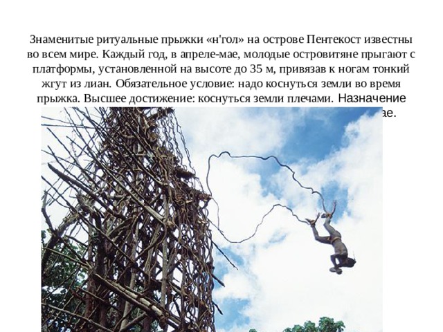      Знаменитые ритуальные прыжки «н'гол» на острове Пентекост известны во всем мире. Каждый год, в апреле-мае, молодые островитяне прыгают с платформы, установленной на высоте до 35 м, привязав к ногам тонкий жгут из лиан. Обязательное условие: надо коснуться земли во время прыжка. Высшее достижение: коснуться земли плечами. Назначение ритуала — обращение к богам с просьбой о богатом урожае.      