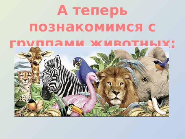 Разнообразие животных плешаков. Группы животных начальная школа. Эти интересные животные для начальной школы.