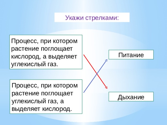 Укажи стрелками: Процесс, при котором растение поглощает кислород, а выделяет углекислый газ. Питание Процесс, при котором растение поглощает углекислый газ, а выделяет кислород. Дыхание 