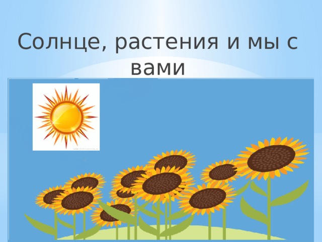 Солнце, растения и мы с вами Солнце, растения и мы с вами 