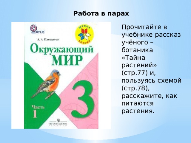 Работа в парах Прочитайте в учебнике рассказ учёного – ботаника «Тайна растений» (стр.77) и, пользуясь схемой (стр.78), расскажите, как питаются растения. 