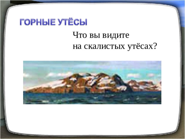 Что вы видите на скалистых утёсах? 