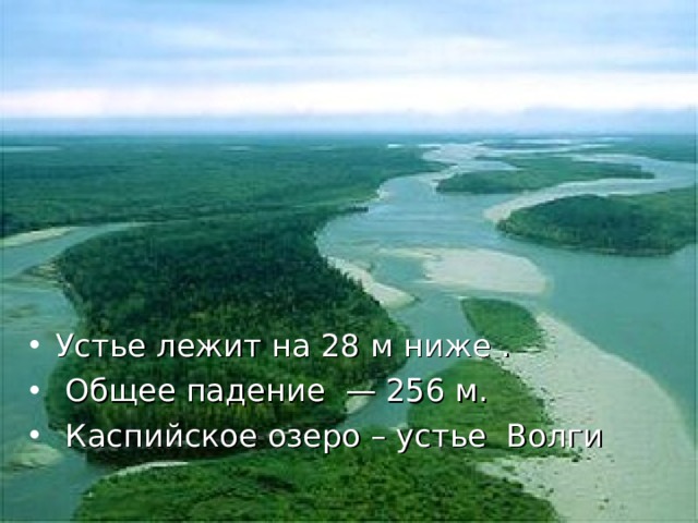 Устье лежит на 28 м ниже .  Общее падение  — 256 м.  Каспийское озеро – устье Волги  