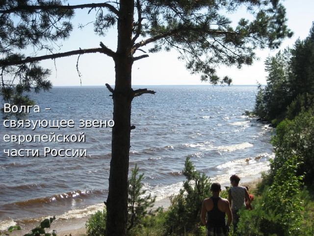 Волга – связующее звено европейской части России 
