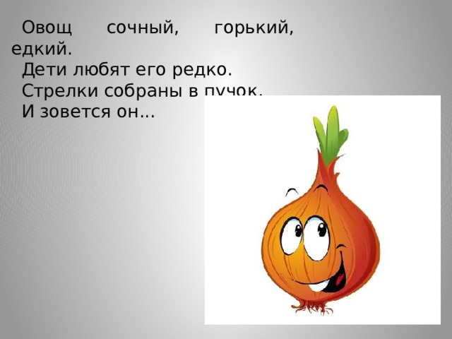 Овощ сочный, горький, едкий. Дети любят его редко. Стрелки собраны в пучок, И зовется он...  