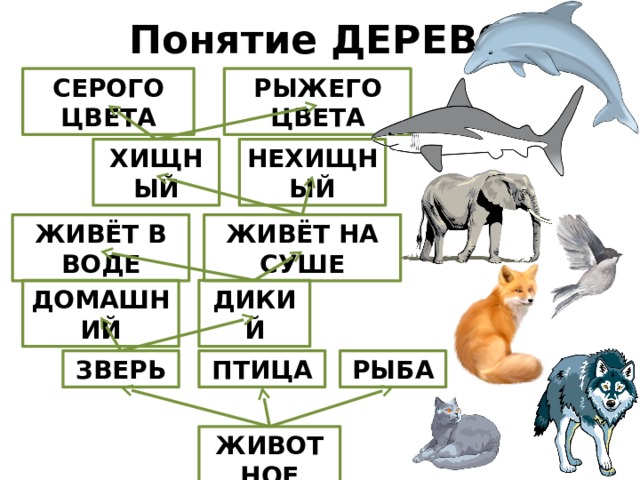 Понятие животные. •Понятия:звери,. Дерево понятий животных.