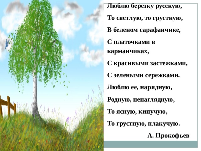 Люблю березу. Прокофьев люблю березку русскую. Люблю березку русскую то светлую. Люблю берёзу русскую то светлую то грустную. Стих люблю березку русскую.