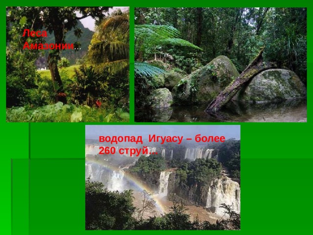 Леса Амазонии … водопад Игуасу – более 260 струй… 