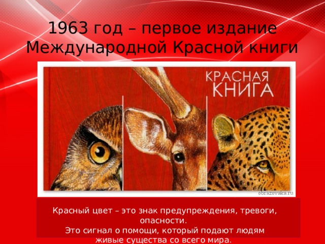 1963 год – первое издание Международной Красной книги Красный цвет – это знак предупреждения, тревоги, опасности. Это сигнал о помощи, который подают людям живые существа со всего мира.