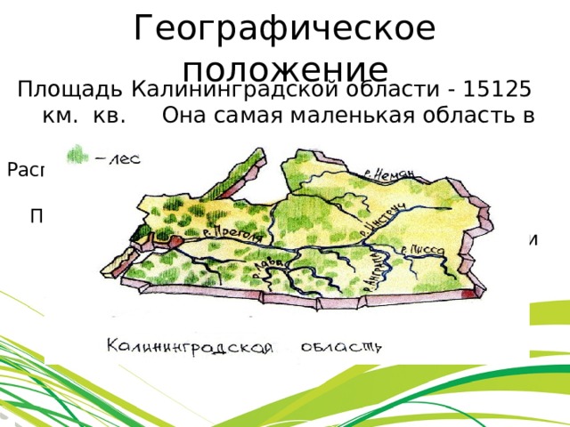 Географическое положение Площадь Калининградской области - 15125 км. кв. Она самая маленькая область в России. Расположена в Центральной Европе. На юге граничит с Польшей, на севере и востоке – с Литвой. На западе омывается Балтийским морем и его заливами – Куршским и Вислинским. 