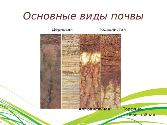 Основные виды почвы  Дерновая Подзолистая  Аллювиальная Торфяно-  перегнойная 