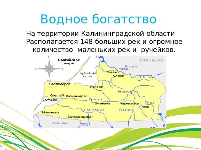 Водное богатство На территории Калининградской области Располагается 148 больших рек и огромное количество маленьких рек и ручейков. 