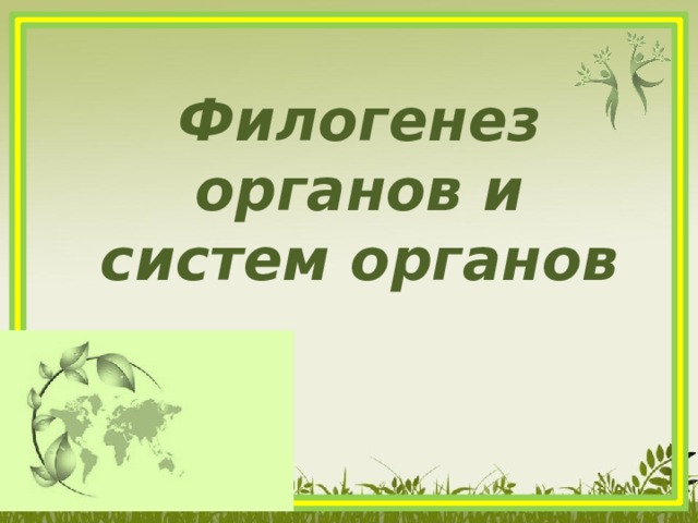 Филогенез органов и систем органов 