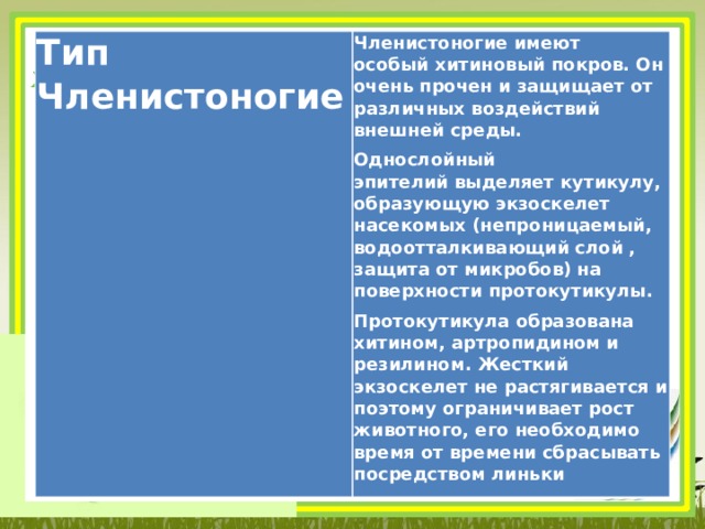 Тип Членистоногие Членистоногие имеют особый хитиновый покров. Он очень прочен и защищает от различных воздействий внешней среды. Однослойный эпителий выделяет кутикулу, образующую экзоскелет насекомых (непроницаемый, водоотталкивающий слой , защита от микробов) на поверхности протокутикулы. Протокутикула образована хитином, артропидином и резилином. Жесткий экзоскелет не растягивается и поэтому ограничивает рост животного, его необходимо время от времени сбрасывать посредством линьки 