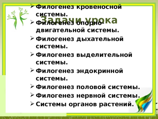Задачи урока Филогенез кровеносной системы. Филогенез опорно-двигательной системы. Филогенез дыхательной системы. Филогенез выделительной системы. Филогенез эндокринной системы. Филогенез половой системы. Филогенез нервной системы. Системы органов растений.  