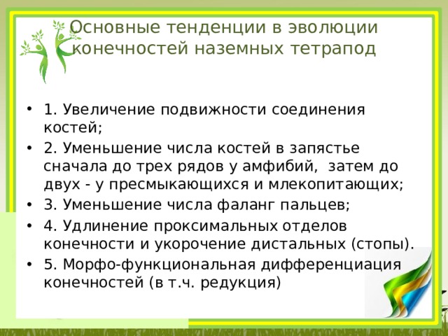 Основные тенденции в эволюции конечностей наземных тетрапод   1. Увеличение подвижности соединения костей; 2. Уменьшение числа костей в запястье сначала до трех рядов у амфибий,  затем до двух - у пресмыкающихся и млекопитающих; 3. Уменьшение числа фаланг пальцев; 4. Удлинение проксимальных отделов конечности и укорочение дистальных (стопы). 5. Морфо-функциональная дифференциация конечностей (в т.ч. редукция) 