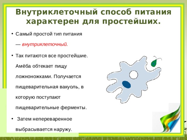 Внутриклеточный способ питания характерен для простейших. Самый простой тип питания —  внутриклеточный.   Так питаются все простейшие. Амёба обтекает пищу ложноножками. Получается пищеварительная вакуоль, в которую поступают пищеварительные ферменты.  Затем непереваренное выбрасывается наружу . 