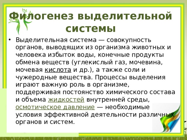 Филогенез выделительной системы Выделительная система — совокупность органов, выводящих из организма животных и человека избыток воды, конечные продукты обмена веществ (углекислый газ, мочевина, мочевая  кислота  и др.), а также соли и чужеродные вещества. Процессы выделения играют важную роль в организме, поддерживая постоянство химического состава и объема  жидкостей  внутренней среды,  осмотическое давление  — необходимые условия эффективной деятельности различных органов и систем. 