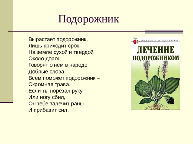  Подорожник  Вырастает подорожник,  Лишь приходит срок,  На земле сухой и твердой  Около дорог.  Говорят о нем в народе  Добрые слова.  Всем поможет подорожник –  Скромная трава.  Если ты порезал руку  Или ногу сбил,  Он тебе залечит раны  И прибавит сил.    