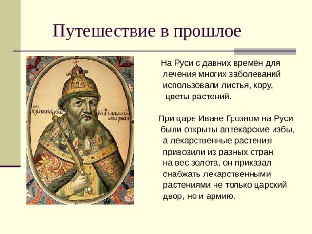  Путешествие в прошлое  На Руси с давних времён для  лечения многих заболеваний  использовали листья, кору,  цветы растений.  При царе Иване Грозном на Руси  были открыты аптекарские избы,  а лекарственные растения  привозили из разных стран  на вес золота, он приказал  снабжать лекарственными  растениями не только царский  двор, но и армию. 