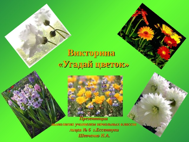 Викторина  «Угадай цветок» Презентация выполнена учителем начальных классов лицея № 6 г.Ессентуки Шевченко Н.А. 