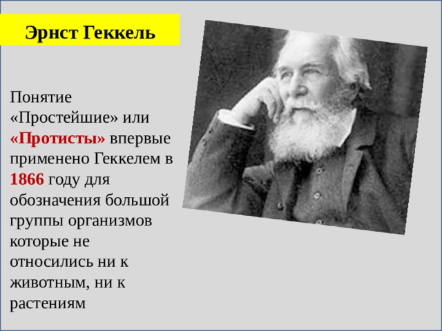 Эрнст Геккель Понятие «Простейшие» или «Протисты» впервые применено Геккелем в 1866 году для обозначения большой группы организмов которые не относились ни к животным, ни к растениям 