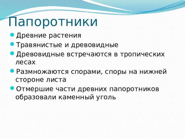 Папоротники Древние растения Травянистые и древовидные Древовидные встречаются в тропических лесах Размножаются спорами, споры на нижней стороне листа Отмершие части древних папоротников образовали каменный уголь 