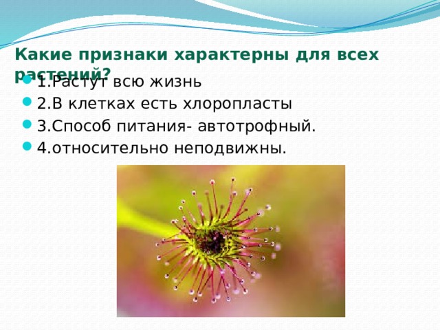 Какие признаки характерны для всех растений?   1.Растут всю жизнь 2.В клетках есть хлоропласты 3.Способ питания- автотрофный. 4.относительно неподвижны. 