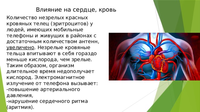 Влияние на сердце, кровь Количество незрелых красных кровяных телец (эритроцитов) у людей, имеющих мобильные телефоны и живущих в районах с достаточным количеством антенн, увеличено . Незрелые кровяные тельца впитывают в себя гораздо меньше кислорода, чем зрелые. Таким образом, организм длительное время недополучает кислород. Электромагнитное излучение от телефона вызывает: -повышение артериального давления, -нарушение сердечного ритма (аритмия). 