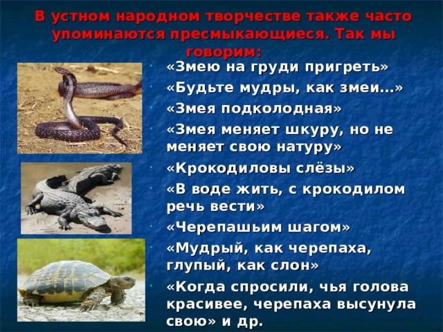 Ты прости что я такая подколодная змея. Змея подколодная. Змея подколодная фразеологизм. Змея подколодная значение. Что значит подколодная.