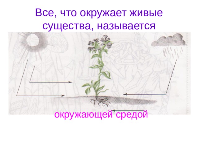 Как называется изображение неживого предмета как живого существа буря плачет у окна