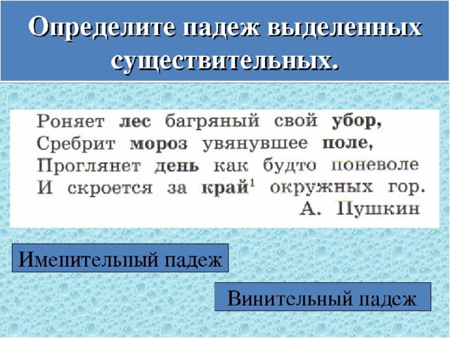 Именительный падеж имен существительных 4 класс. Именительный и вместительный падежи. Именительный и винительный падежи имен существительных. Именительный и вин тельный падеж. Предложения с именительным и винительным падежом примеры.