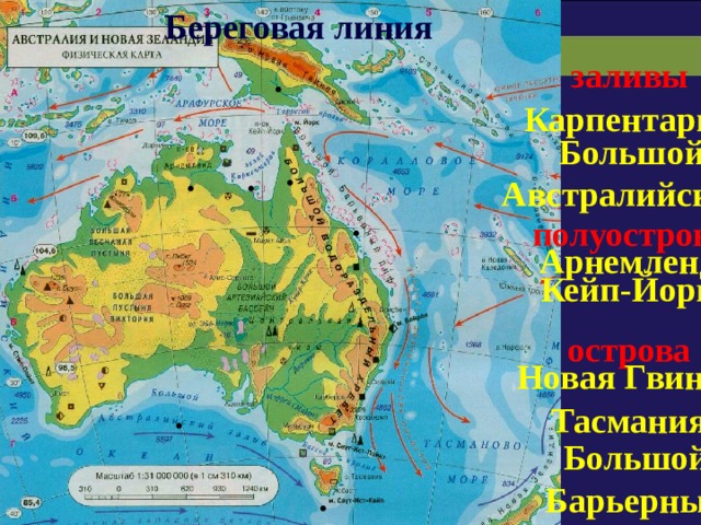 Береговая линия заливы . Карпентария Большой Австралийский . . . . полуострова Арнемленд Кейп-Йорк острова Новая Гвинея . Тасмания Большой Барьерный риф . 