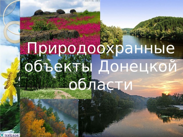 Природоохранные объекты Донецкой области 